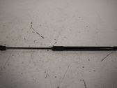 Tailgate/trunk strut/damper