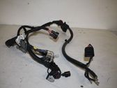 Other wiring loom