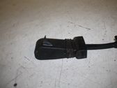 Rear door lock loop/hook striker