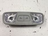 Luz del asiento trasero