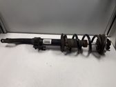 Front shock absorber/damper