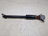 Rear shock absorber/damper