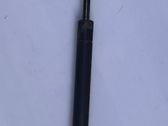 Tailgate/trunk strut/damper