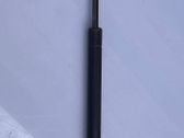 Tailgate/trunk strut/damper