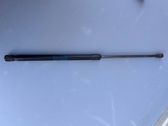 Tailgate/trunk strut/damper