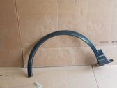 Fender trim (molding)
