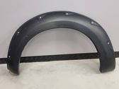 Fender trim (molding)