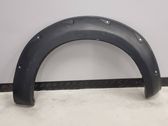Fender trim (molding)