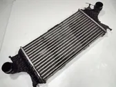 Intercooler radiator