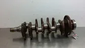 Albero motore