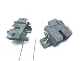 Tie down hook / loop