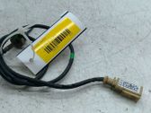 Sonde lambda