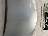Engine bonnet/hood