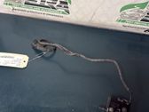 Tailgate/trunk/boot lock/catch/latch