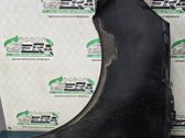 Fender