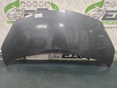 Motorhaube