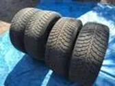 Neumático de invierno R18 C