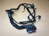 Front door wiring loom