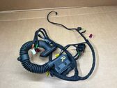 Front door wiring loom