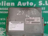 Engine control unit/module ECU