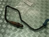 Зонд «Lambda»