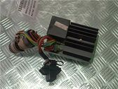 Engine control unit/module ECU