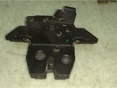 Tailgate/trunk/boot lock/catch/latch