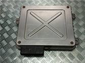 Engine control unit/module ECU
