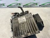 Engine control unit/module ECU