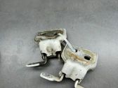 Tailgate/trunk/boot hinge