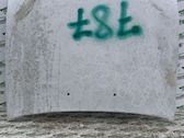 Engine bonnet/hood