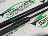 Tailgate/trunk strut/damper