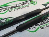 Tailgate/trunk strut/damper