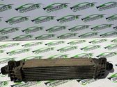 Intercooler radiator