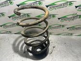 Front coil spring