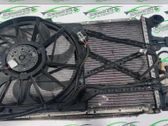 Fan impeller