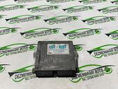 Engine control unit/module ECU