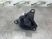 Tailgate/trunk strut/damper