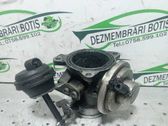 AGR Thermostat