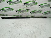 Tailgate/trunk strut/damper