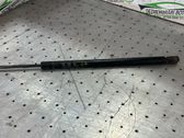 Tailgate/trunk strut/damper