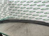 Front grill