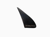 Fender trim (molding)