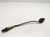 Sonde lambda
