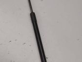 Tailgate/trunk strut/damper