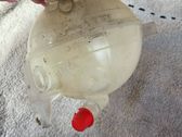 Coolant expansion tank/reservoir