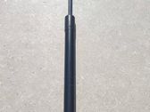 Tailgate/trunk strut/damper