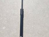 Tailgate/trunk strut/damper