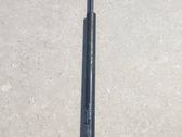 Tailgate/trunk strut/damper