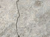 Manguera/tubo del embrague
